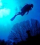 Southpoint Scuba Diving