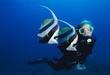 Key West Scuba Diving